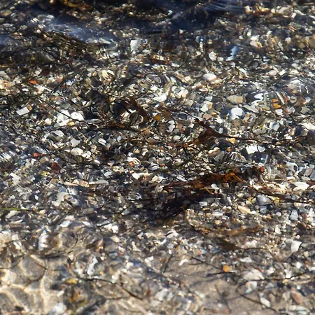 8 Person In Sjolund-by Traum * Binderup Strand