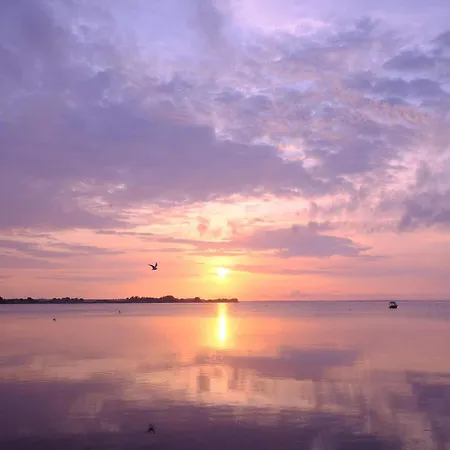 8 Person In Sjolund-by Traum