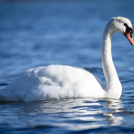 펜션 8 Person In Sjolund-by Traum Binderup Strand