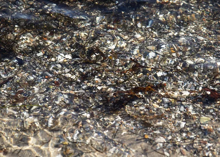 8 Person In Sjolund-by Traum * Binderup Strand