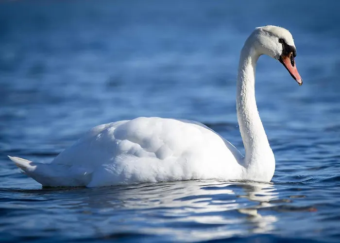 펜션 8 Person In Sjolund-by Traum Binderup Strand
